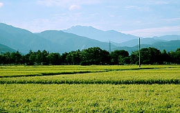 おいしい米が取れる末松地内から白山を望む