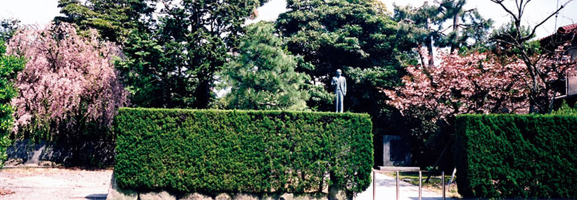 枝垂桜と八重桜と中島翁